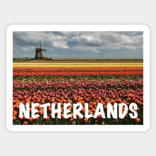 Tulips field Sticker